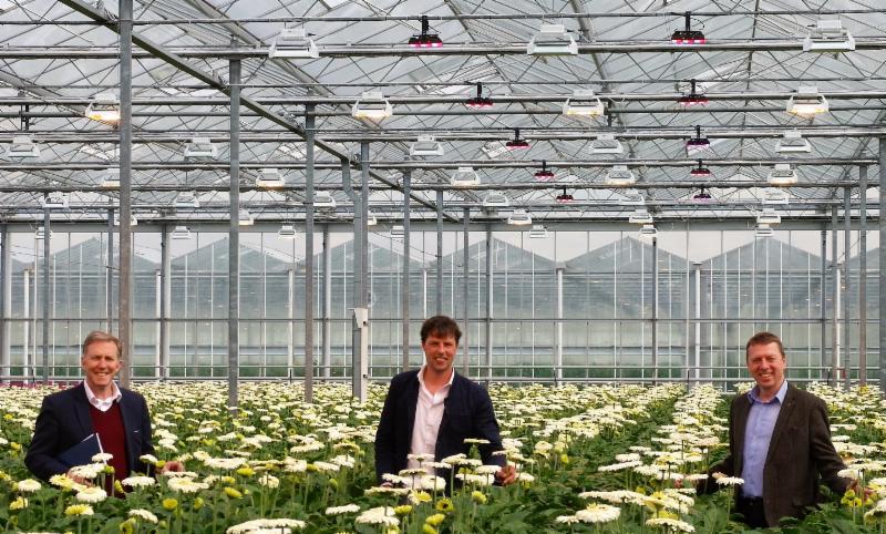 Michael LeGoff, CEO of Plessey, Maarten Klein and Steve Edwards inspecting a trial using PhytoLux grow lights in Holland