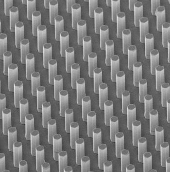 Aledia develops and produces gallium nitride (GaN) nanowire LEDs on silicon. (Scanning electron microscope image of nanowire crystals).